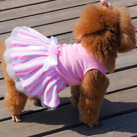 Puppy’s Party Dress