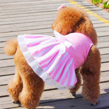 Puppy’s Party Dress